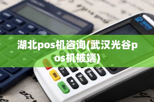 湖北pos机咨询(武汉光谷pos机被端)