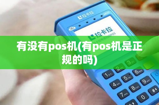 有没有pos机(有pos机是正规的吗)
