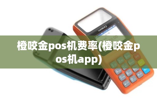 橙咬金pos机费率(橙咬金pos机app)