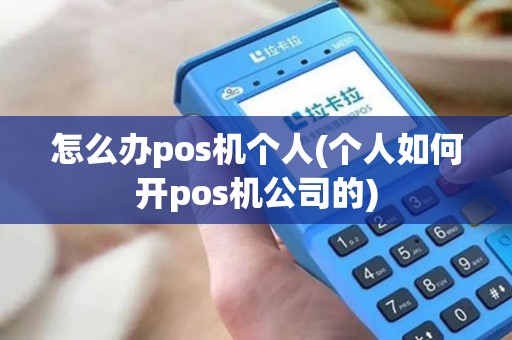 怎么办pos机个人(个人如何开pos机公司的)