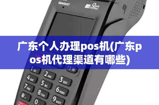 广东个人办理pos机(广东pos机代理渠道有哪些)