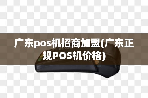 广东pos机招商加盟(广东正规POS机价格)