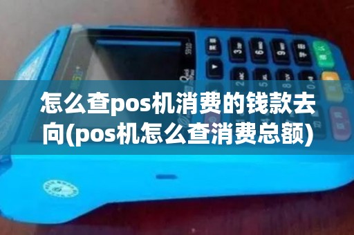 怎么查pos机消费的钱款去向(pos机怎么查消费总额)
