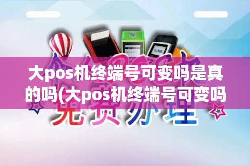 大pos机终端号可变吗是真的吗(大pos机终端号可变吗)