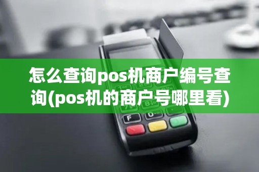 怎么查询pos机商户编号查询(pos机的商户号哪里看)