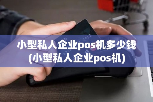 小型私人企业pos机多少钱(小型私人企业pos机)