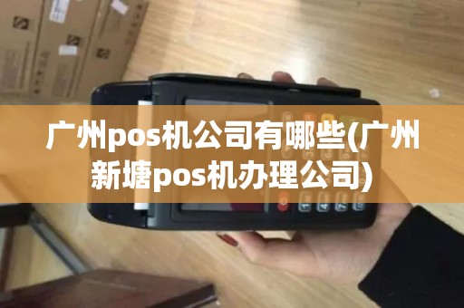 广州pos机公司有哪些(广州新塘pos机办理公司)