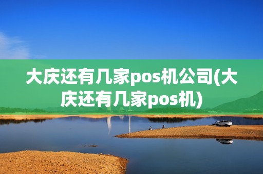 大庆还有几家pos机公司(大庆还有几家pos机)