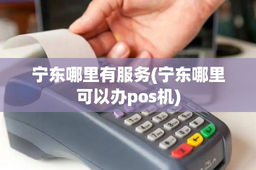 宁东哪里有服务(宁东哪里可以办pos机)