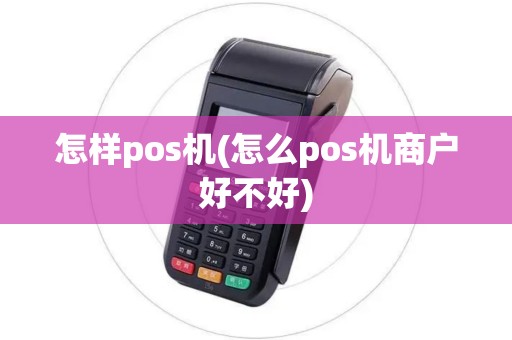 怎样pos机(怎么pos机商户好不好)