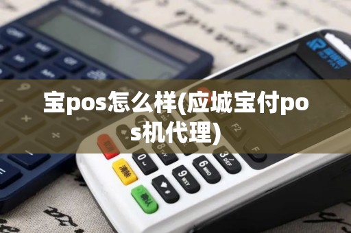 宝pos怎么样(应城宝付pos机代理)