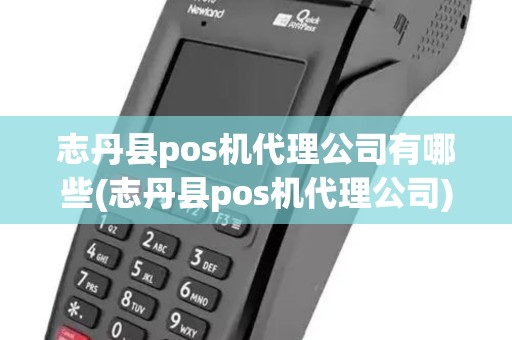 志丹县pos机代理公司有哪些(志丹县pos机代理公司)