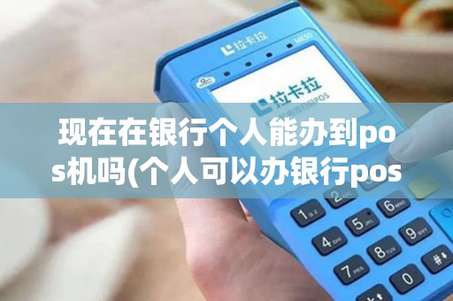 现在在银行个人能办到pos机吗(个人可以办银行pos机吗)