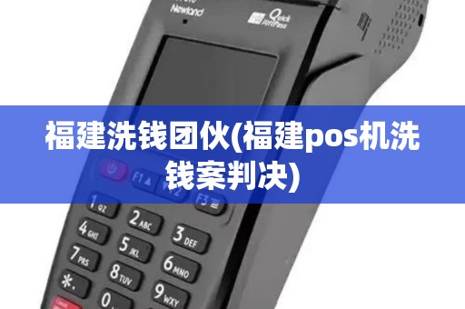 福建洗钱团伙(福建pos机洗钱案判决)