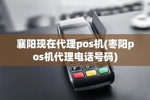 襄阳现在代理pos机(枣阳pos机代理电话号码)