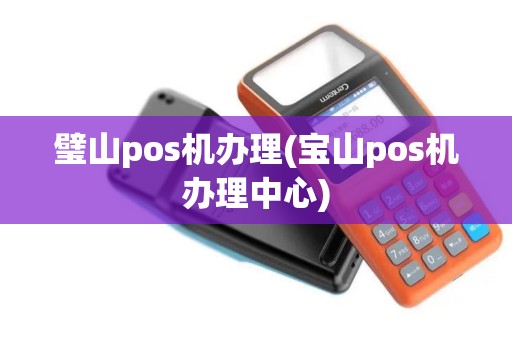 璧山pos机办理(宝山pos机办理中心)