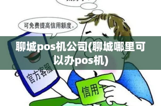 聊城pos机公司(聊城哪里可以办pos机)