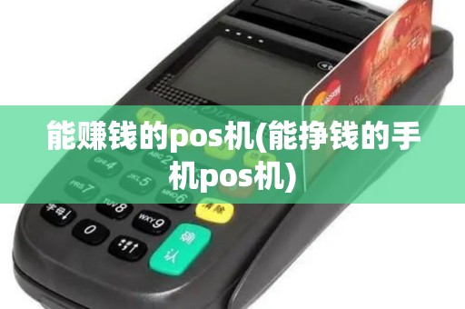 能赚钱的pos机(能挣钱的手机pos机)