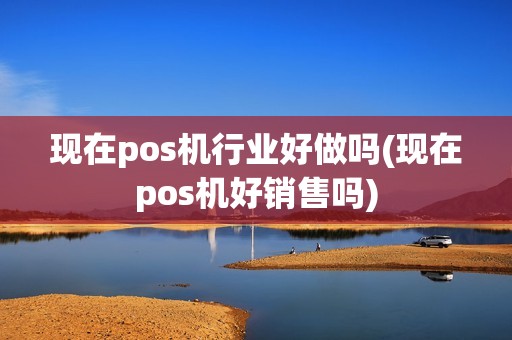 现在pos机行业好做吗(现在pos机好销售吗)