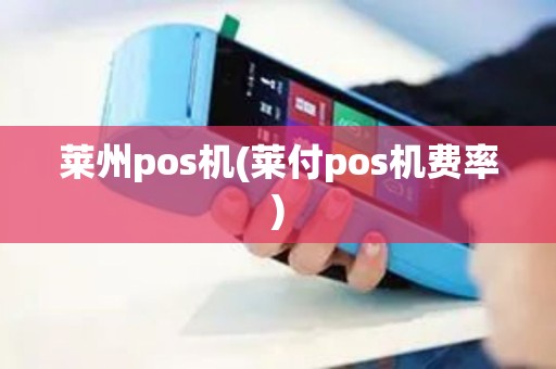 莱州pos机(莱付pos机费率)