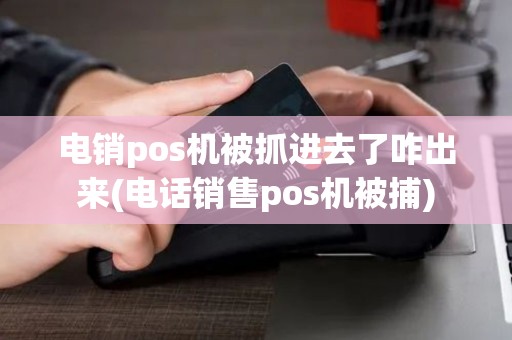 电销pos机被抓进去了咋出来(电话销售pos机被捕)
