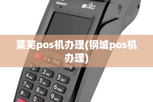 莱芜pos机办理(钢城pos机办理)