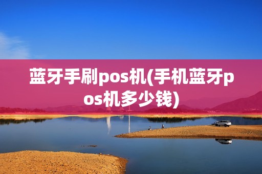 蓝牙手刷pos机(手机蓝牙pos机多少钱)