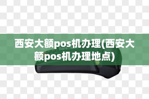 西安大额pos机办理(西安大额pos机办理地点)