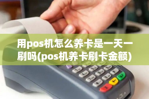 用pos机怎么养卡是一天一刷吗(pos机养卡刷卡金额)