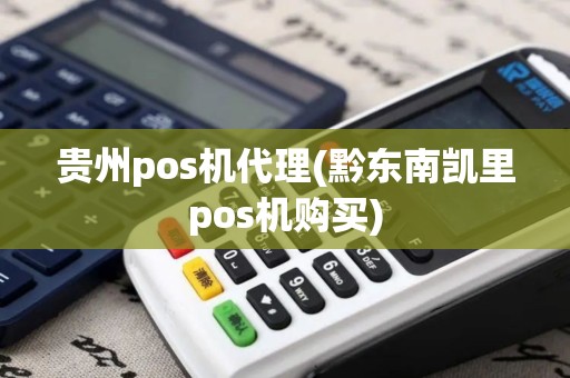 贵州pos机代理(黔东南凯里pos机购买)