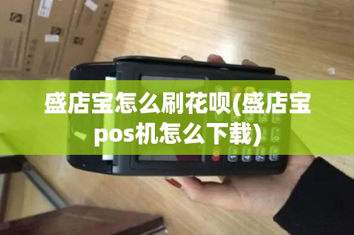 盛店宝怎么刷花呗(盛店宝pos机怎么下载)