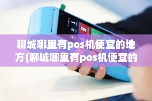 聊城哪里有pos机便宜的地方(聊城哪里有pos机便宜的)