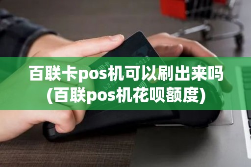 百联卡pos机可以刷出来吗(百联pos机花呗额度)