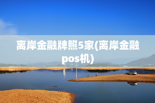 离岸金融牌照5家(离岸金融pos机)