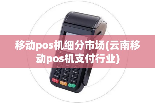 移动pos机细分市场(云南移动pos机支付行业)