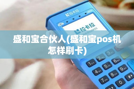 盛和宝合伙人(盛和宝pos机怎样刷卡)