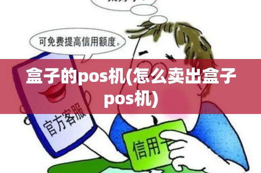 盒子的pos机(怎么卖出盒子pos机)