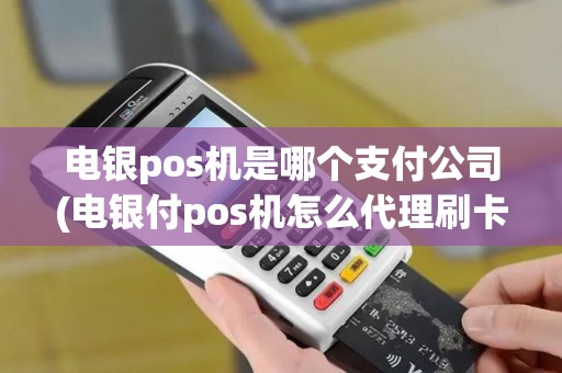 电银pos机是哪个支付公司(电银付pos机怎么代理刷卡)