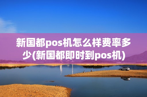 新国都pos机怎么样费率多少(新国都即时到pos机)