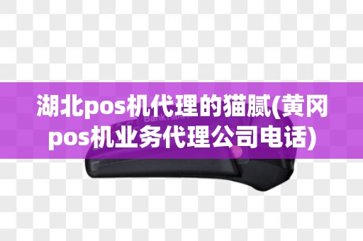 湖北pos机代理的猫腻(黄冈pos机业务代理公司电话)