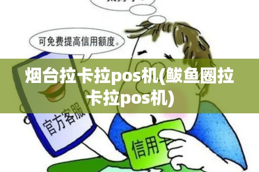 烟台拉卡拉pos机(鲅鱼圈拉卡拉pos机)