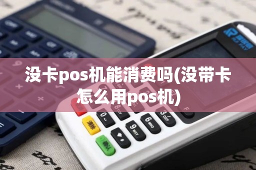 没卡pos机能消费吗(没带卡怎么用pos机)