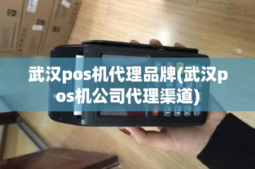 武汉pos机代理品牌(武汉pos机公司代理渠道)
