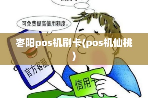 枣阳pos机刷卡(pos机仙桃)