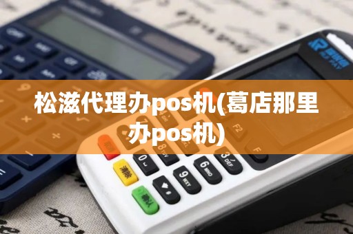 松滋代理办pos机(葛店那里办pos机)
