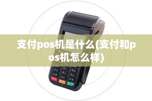 支付pos机是什么(支付和pos机怎么样)