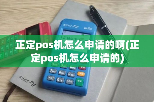 正定pos机怎么申请的啊(正定pos机怎么申请的)