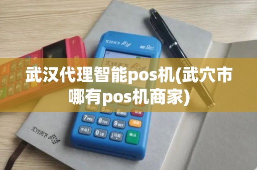 武汉代理智能pos机(武穴市哪有pos机商家)