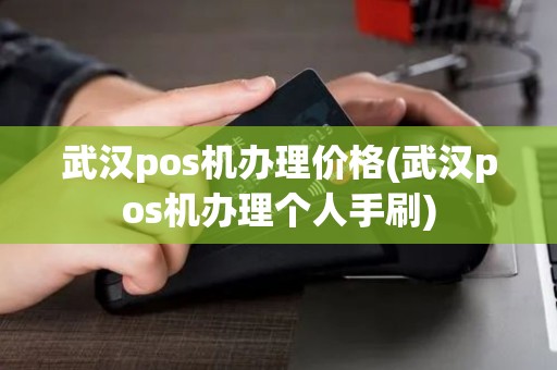 武汉pos机办理价格(武汉pos机办理个人手刷)