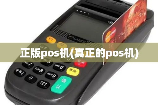 正版pos机(真正的pos机)